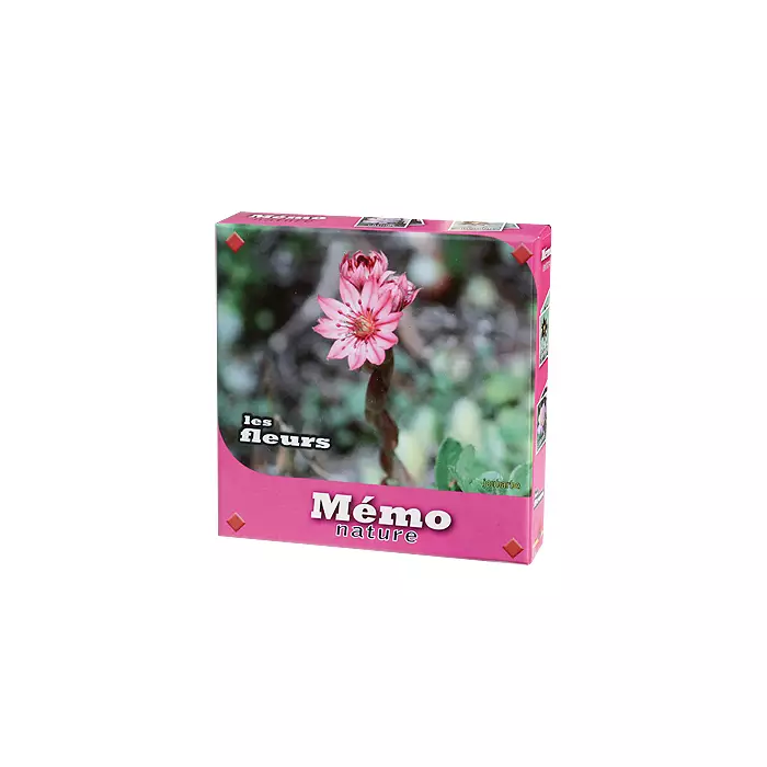 Mémo Fleurs - Jeu FK