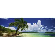 HEYE Puzzle - Paradise Palms - A. VON HUMBOLDT - Panoramique 2000 Pièces