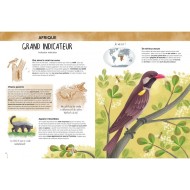 L'Atlas De La Biodiversité - Animaux Insolites Et Curieux