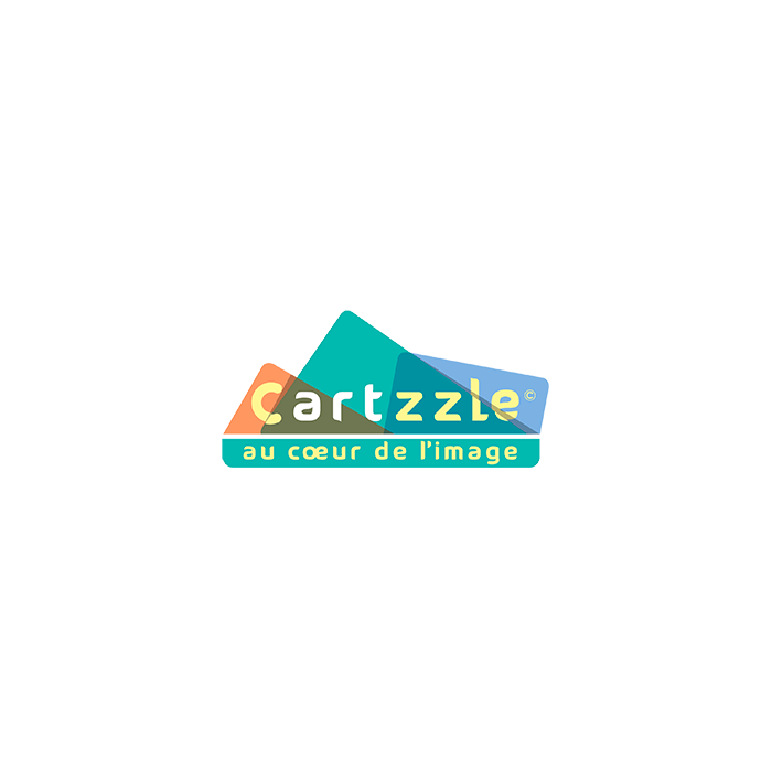 Cartzzle – Exploration Extrême