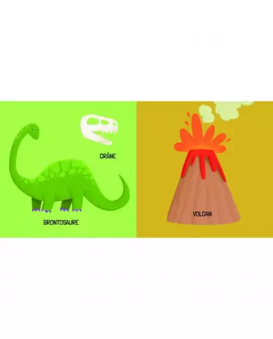 Q-Box - Les Dinosaures