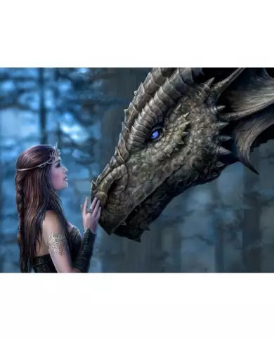 Anne Stokes Puzzle Prime 3D - Il Était Une Fois - 500 Pièces