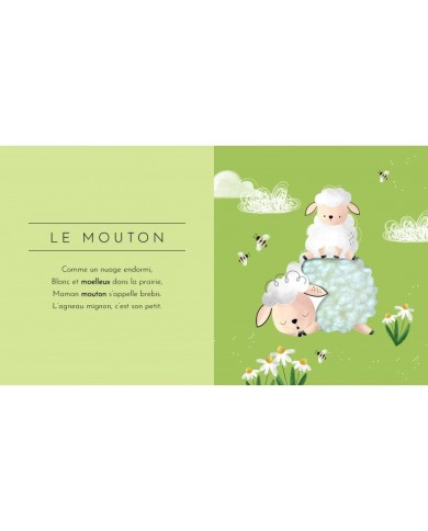 Touche À Tout - Les Animaux