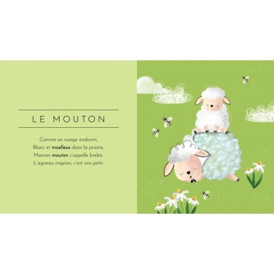 Touche À Tout - Les Animaux