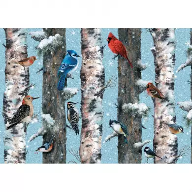 Puzzle PIATNIK - Oiseaux D'Hiver - 1000 Pièces
