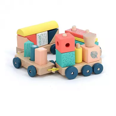 Train De Cubes - Sous La Canopée