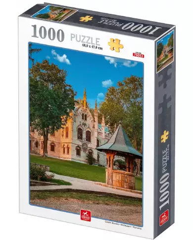 Puzzle D-TOYS - Château De Sturdza - Roumanie - 1000 Pièces