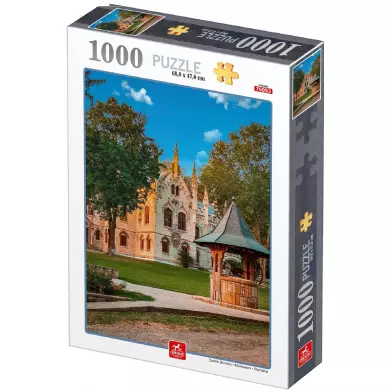 Puzzle D-TOYS - Château De Sturdza - Roumanie - 1000 Pièces