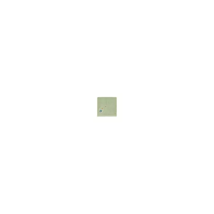 Serviette Tortue Menthalo - 100X100 - Personnalisable