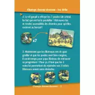 Cartzzle – Champs Dessus-Dessous