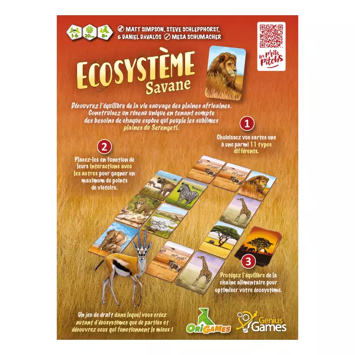 Écosystème - Savane