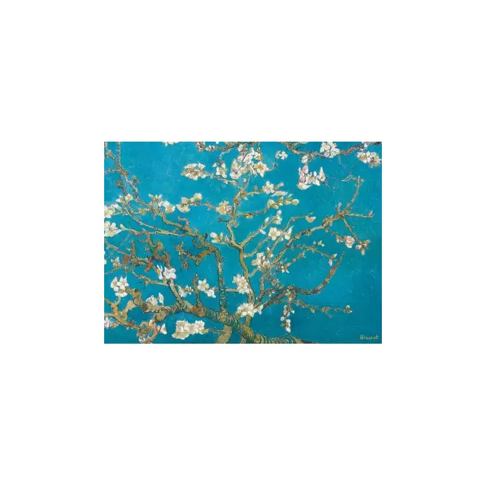 Puzzle Eurographics - Amandier En Fleur - Vincent Van Gogh - 1000 Pièces