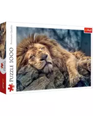 Puzzle Brain Gaim - Flow - Bateau Et Batiments - 1000 Pièces