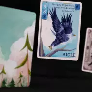 MicroGame - Les Maîtres Des Cimes