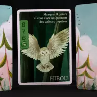 MicroGame - Les Maîtres Des Cimes
