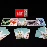 MicroGame - Les Maîtres Des Cimes