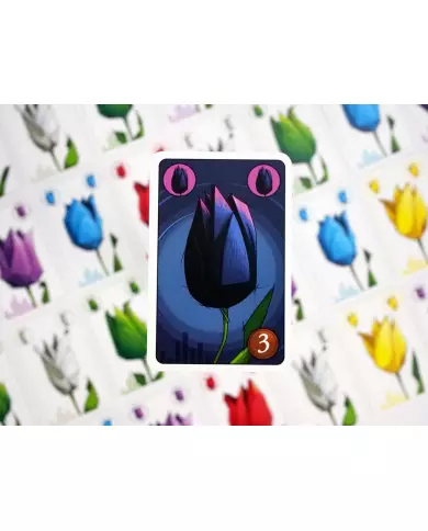 Tulip