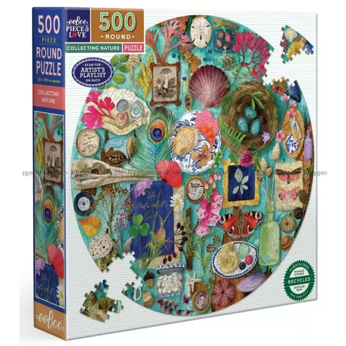 Puzzle Eeboo - Collecting Nature ( Collectionner La Nature ) - 500 Pièces