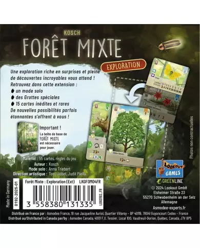Forêt Mixte - Exploration (Ext. 3)
