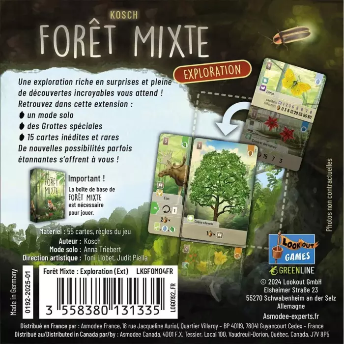 Forêt Mixte - Exploration (Ext. 3)