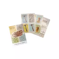MicroGame - Les Chariots De L'Ouest
