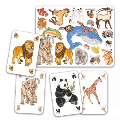 Zanimatch - Cartes DJECO