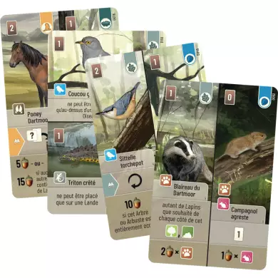 Forêt Mixte : Dartmoor