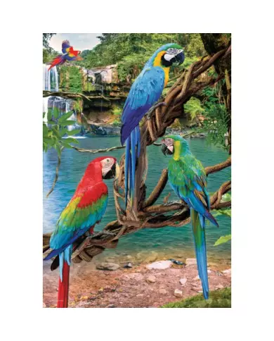 Puzzle Eurographics - Aras - 250 Pièces