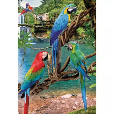 Puzzle Eurographics - Aras - 250 Pièces