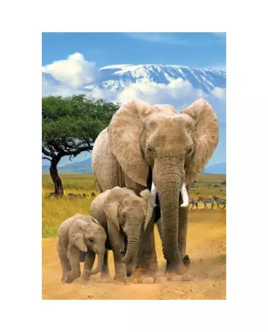 Puzzle Eurographics - Éléphants - 250 Pièces
