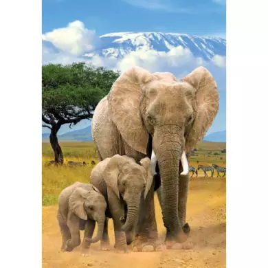 Puzzle Eurographics - Éléphants - 250 Pièces