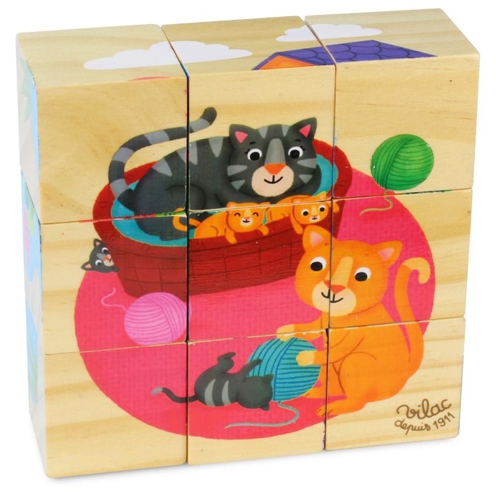 9 Cubes En Bois Animaux - VILAC