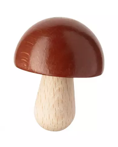 Champignon Haba