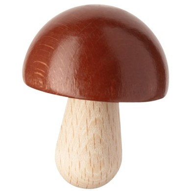 Champignon Haba