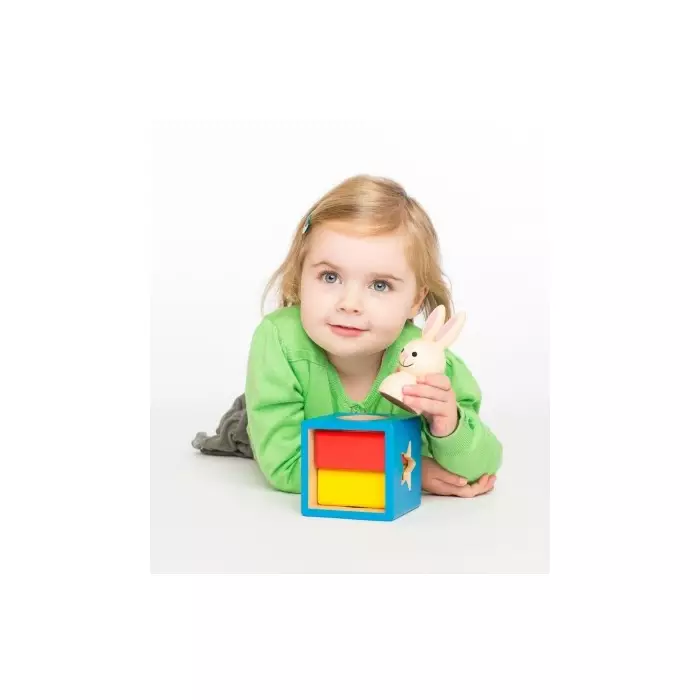 Le Lapin Et Le Magicien - Défis Logiques