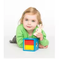 Le Lapin Et Le Magicien - Défis Logiques