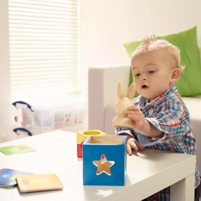 Le Lapin Et Le Magicien - Défis Logiques