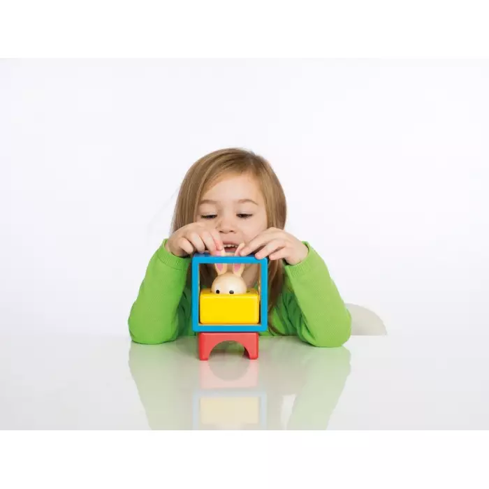 Le Lapin Et Le Magicien - Défis Logiques