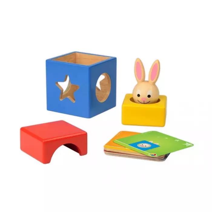 Le Lapin Et Le Magicien - Défis Logiques