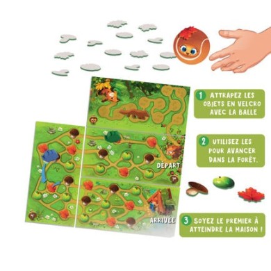 Le Hérisson Qui Roule A Pic (Roulapik)