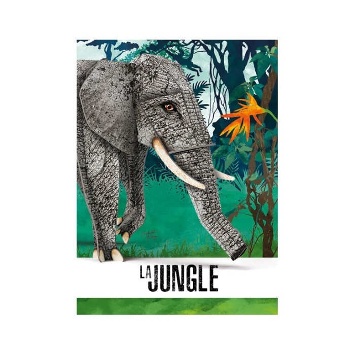 L'Éléphant : La Jungle - Maquette 3D Et Livre