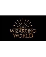 Wizarding World