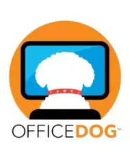 Office Dog