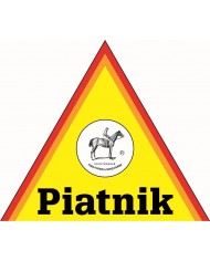 Piatnik